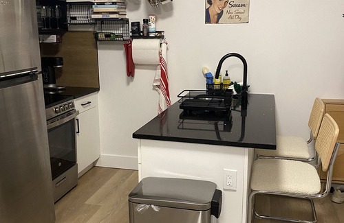 Williamsburg Apartment | Shared Coastal Designed 2-bedroom apartment with AC, WiFi in Vibrant Brooklyn