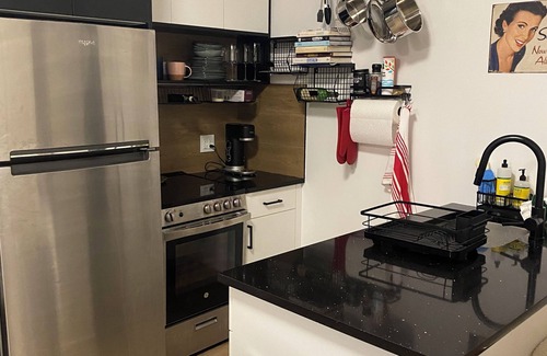 Williamsburg Apartment | Shared Coastal Designed 2-bedroom apartment with AC, WiFi in Vibrant Brooklyn