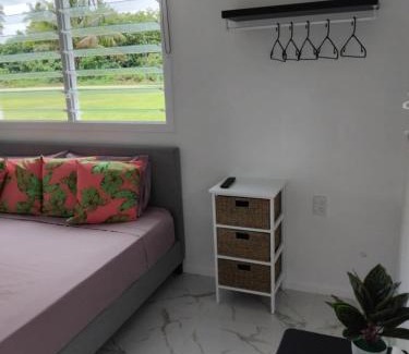 Amuri Villa | Sharnyta's Studio Aitutaki
