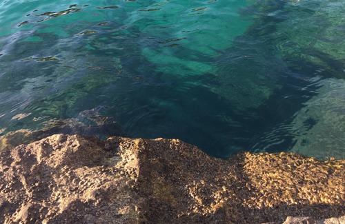 Calanque de Morgiou House | Shed feet in water sea view cove of niolon