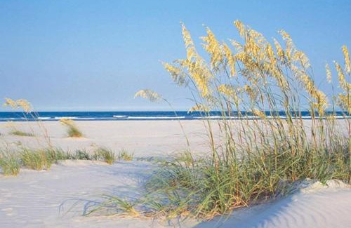 Shell Island Resort | Shell Island Resort - All Oceanfront Suites