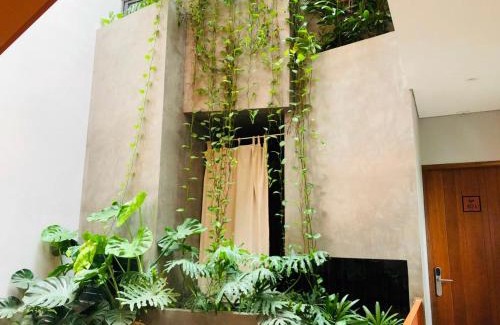 Son Tra Hotel | Shelter Stay Da Nang