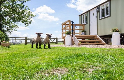 Padbury Cabin | Shepherd Hut