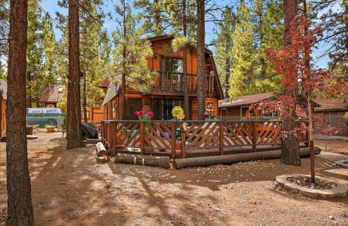 Woodlands Cabin | Shepherd's Cabin