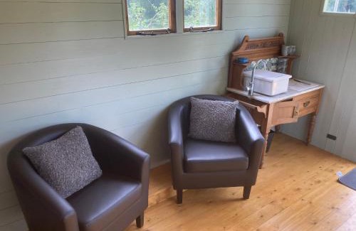 Gellilydan Other | Shepherds hut on alpaca farm