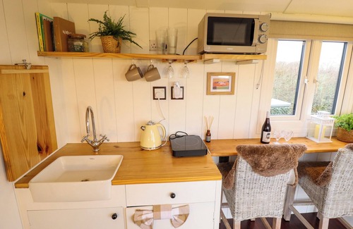 Aubourn Cottage | SHEPHERDS HUT - OAK, pet friendly, with hot tub in Lincoln