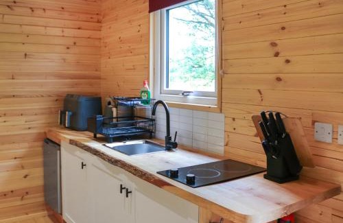 Llangefni Apartment | Shepherds Hut Two - Uk48783