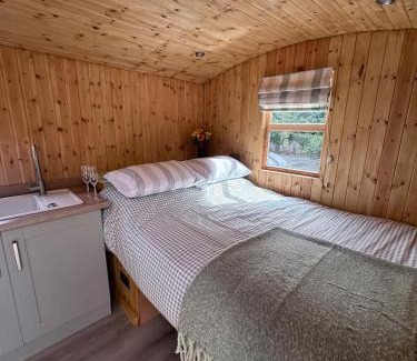 Milford Haven House | Shepherds Hut with Hot Tub