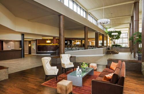Paw Creek Hotel | Sheraton Charlotte Airport
