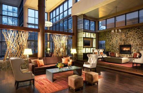 Paw Creek Hotel | Sheraton Charlotte Airport
