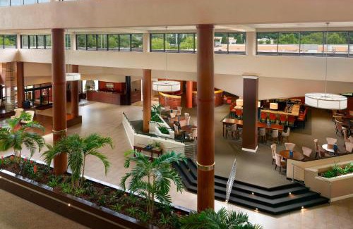 Paw Creek Hotel | Sheraton Charlotte Airport