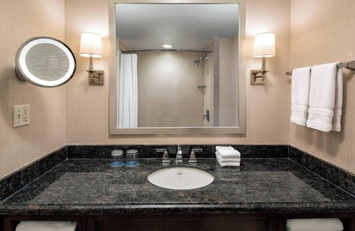 Norfolk Hotel | Sheraton Norfolk Waterside Hotel