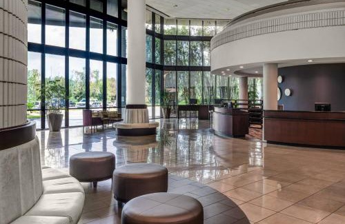 Tampa Hotel | Sheraton Tampa Brandon Hotel