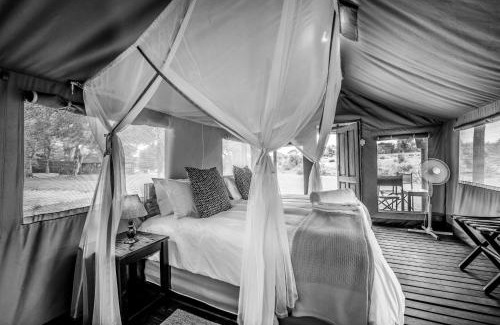 Thorny Bush Game Reserve Other | Shindzela Tented Camp