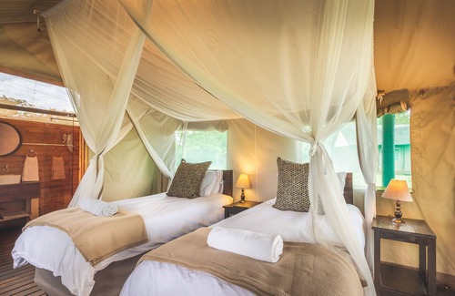 Thorny Bush Game Reserve Other | Shindzela Tented Safari Camp