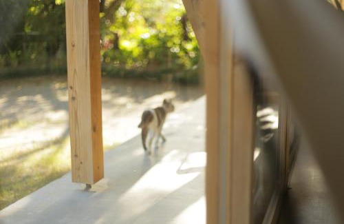 Gushiken Villa | SHINMINKA Villa GUSHIKEN