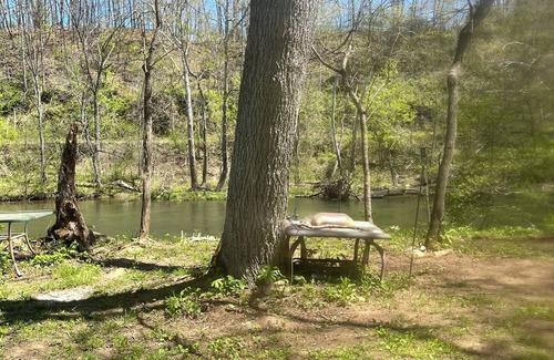 Covington RV Rental | Shirleys’ River Retreat. … camp on the rivers edge