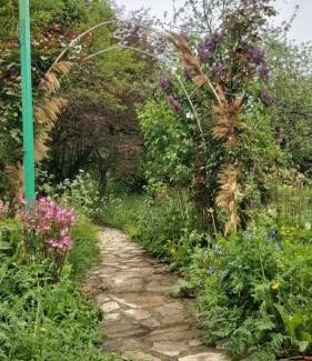 Tianeti House | SHOKA Guesthouse Tianeti