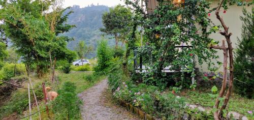 Haridwar Resort | Shoolin Jungle Resort