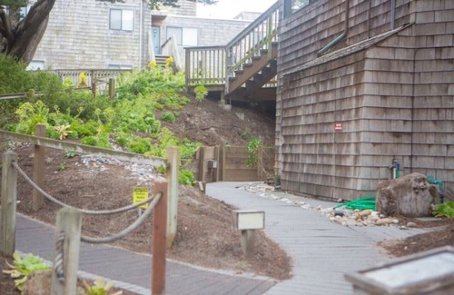 Pajaro Dunes Condo | Shorebirds 11