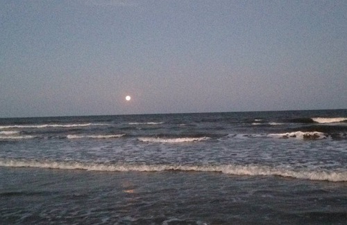 Isle of Palms Cottage | Short Walk to Beach- Close to Pier, Restaurants & Front Beach. Monthly Discounts