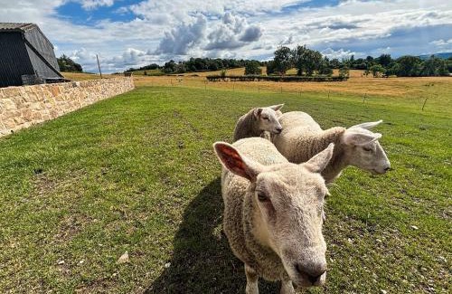 Farden House | Shropshire Way Stay