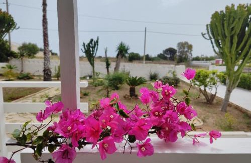 San Lorenzo Apartment | Sicilia Noto San Lorenzo Villa Amaranto