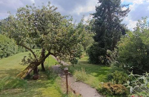 Velbert Apartment | Siedlungshaus im Grünen