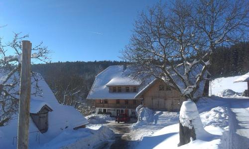 Schonach im Schwarzwald Apartment | Sigmundenhof