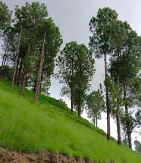 Abbottabad House | Silent Hillside Stay 4 Families