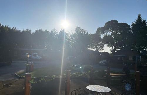 Auchterarder Other | Silver Birch Lodge