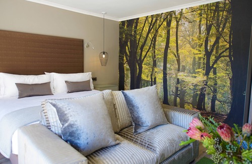 Somerset West Hotel | Silver Forest Boutique Hotel and Spa