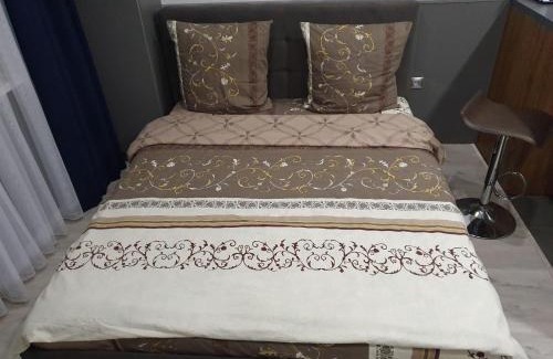 Uzhhorod Apartment | Silver Star Apartment