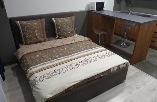 Uzhhorod Apartment | Silver Star Apartment