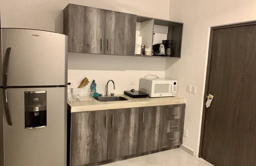 Zazil-ha Apartment | SILVERSANDS Hotel Boutique - 5Th Ave