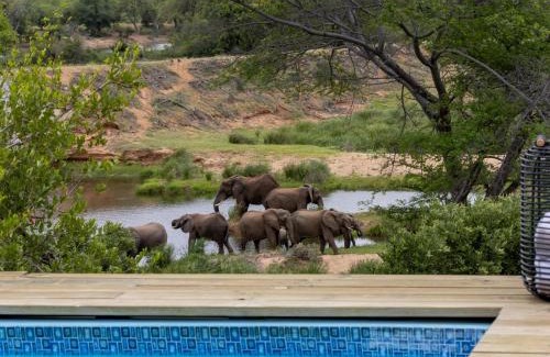Thorny Bush Game Reserve Apartment | Simbavati Mvubu Cottage