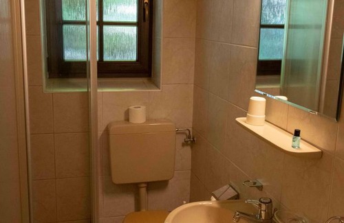 Thomatal Hotel | Single room, shower, toilet