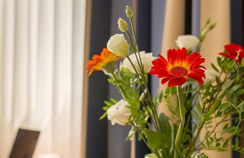 Leipziger Vorstadt House | Single room, shower, toilet - Hotel Novalis Dresden