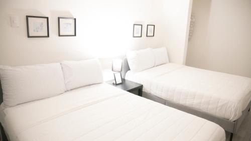 Miguel Hidalgo Apartment | Singular Antara