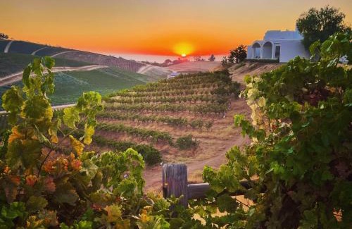 Paso Robles House | Sirena Vineyard Resort - 3 Bedroom guest house