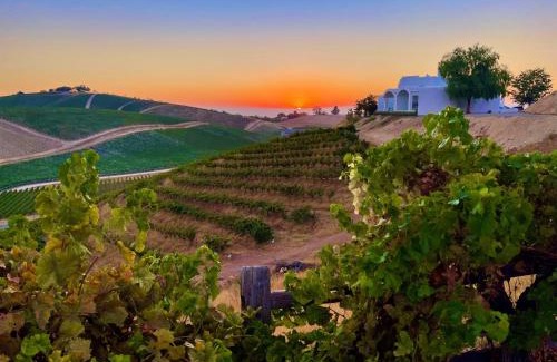 Paso Robles House | Sirena Vineyard Resort - 3 Bedroom guest house