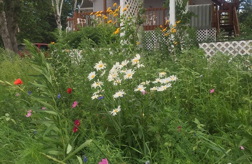 Sister Bay House | Sister Bay Parkview Beach Cottage #1