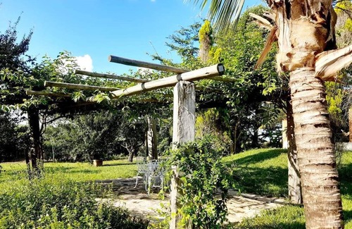 Torres House | Site near the sea