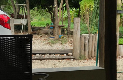 Teresina de Goias House | Sitio Frutas do Cerrado