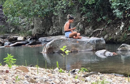 Teresina de Goias House | Sitio Frutas do Cerrado