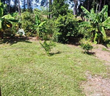 Maquine House | Sitio maquine