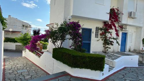 Siviri Apartment | Siviri Lounge Cottage