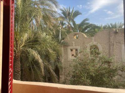 Shurtah al-Dakhlah Hotel | Siwewi green house