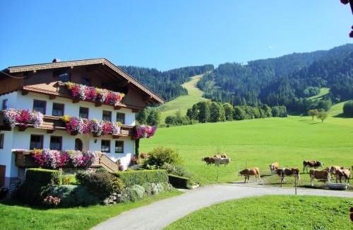 Niederau Apartment | Sixenhof