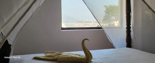 Rishikesh Hotel | Siya Aarogyam